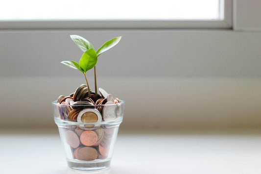 Domina el Arte del Ahorro: Estrategias Inteligentes para Reducir Gastos en tu Hogar.