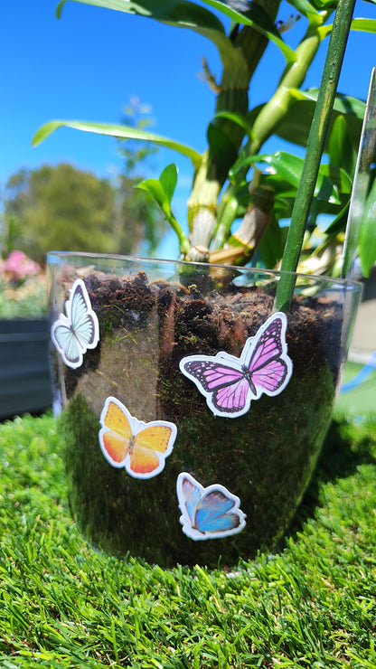 Caja de Pegatinas de Mariposas de Diseño.